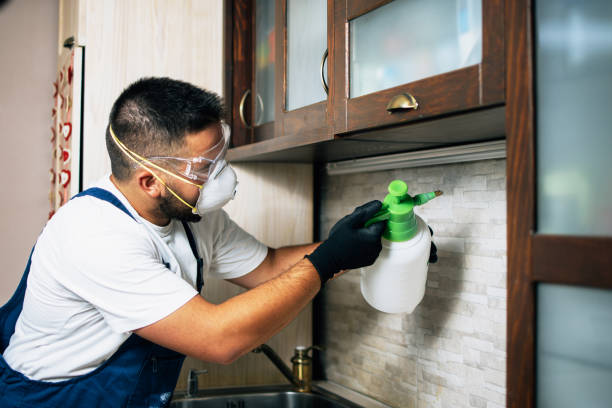 Best Wasp Removal Services  in Stockton, KS