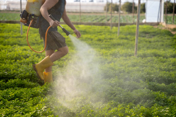 Best Mosquito Control Services  in Stockton, KS