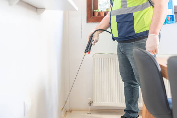 Best Flea Control Services  in Stockton, KS