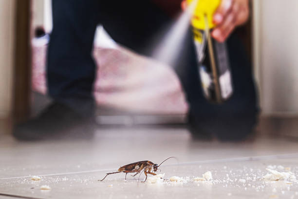 Best Exterminator Services  in Stockton, KS