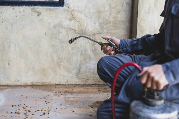 Best Pest Control Treatment  in Stockton, KS
