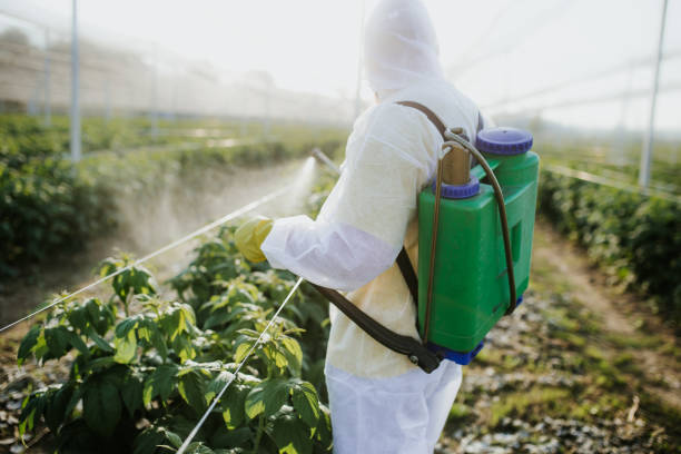 Best Pest Control Near Me  in Stockton, KS